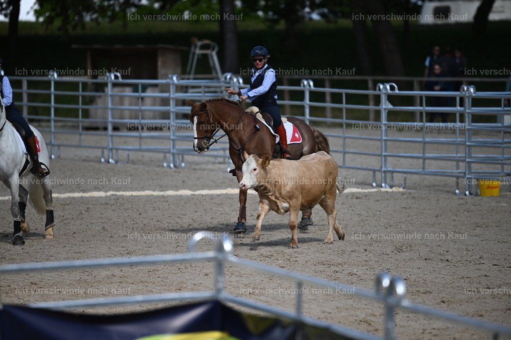 PI26_COW_Sara Landvogt226_7167.JPG | working equitationturnier fotograf videograf stoibphotography marixx film working equitation deutschland reitsport turnierfotografie eventfotografie equestrian events