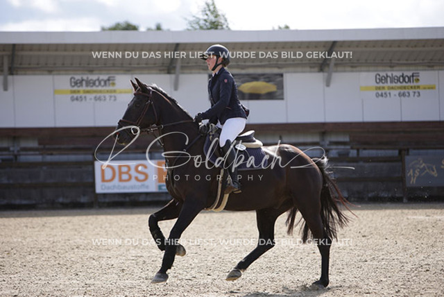 1J2A3418Freya Sophie Langhans_ Comme Toi_ Kn260_ Havekost | Foto- und Videografie für alles rund ums Pferd. Hochwertige Bilder und Videos vom Spring- und Dressurreiten, Voltigieren & mehr. Jetzt aktuelle Veranstaltungen und Preise im Shop ansehen. - Realisiert mit Pictrs.com