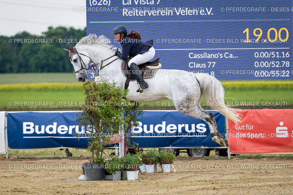 DSC05530 | Pferdegrafie