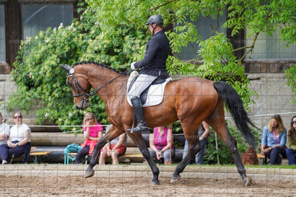 20240519-FAH05231 | Turnierbilder Niederseeon 2024, Vielseitigkeitsdressur, Reitsportbilder aus dem Landkreit Ebersberg, Gut Steinsee, RC Steinsee, Fotoagentur Herrmann