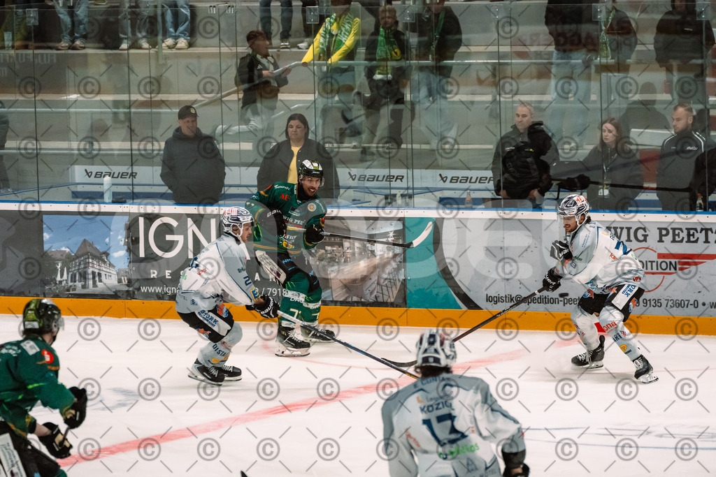 Alligatros_vs_Leipzig_11_09_2026-30 | Die Fotogalerie von Daddel: professionelle Bilder von Sport, Events und Unternehmen aus Franken. Jetzt Galerien durchstöbern und Lieblingsfotos bestellen. - Realisiert mit Pictrs.com