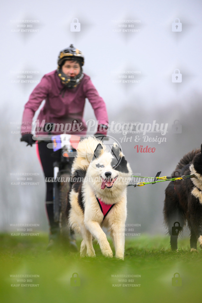 MompixPhotography_CDF2023_FFST_Di_DS2-80 | PayLife