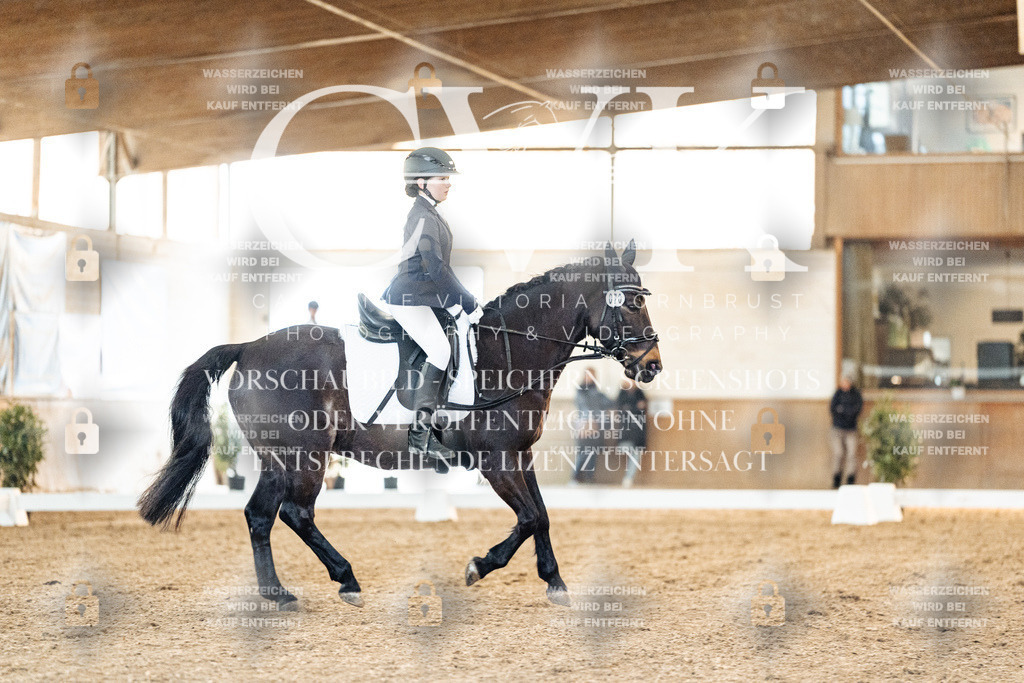 CK906727 | Turnierfotografie Pferdefotografie Trier Rheinland-Pfalz Pferdesport Reitsport Tierfotografie Sportfotografie Pferdevideo Pferdevideografie Equestrianvideography equestrianphotography  - Realisiert mit Pictrs.com