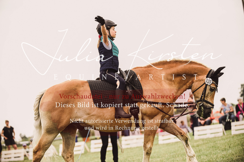 DSC_5297 | Pferde- und Turnierfotografie in Westsachsen. Pferdeportraits, Auftragszeichnungen und intuitive Kunst.