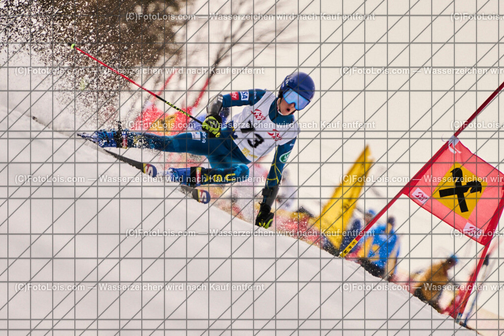 ALP8868_Herrn-FIS-GS-I_Lackenhof-WY_Dohr Matteo | Hochzeitsfotograf mit dem Blick für´s Wesentliche, Firmung, Erstkommunion, Firmenfeiern, Sportfotoservice, Reproduktionen, Konzertfotografie, Pressefotografie, Luftbildfotografie, Innenarchitektur, Werbefotografie, Sponsoren-Livebildfotografie.