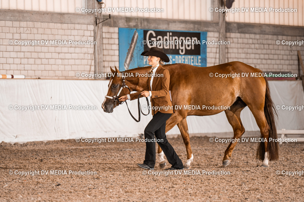 ZH200274 | dv-media-shop - Realisiert mit Pictrs.com