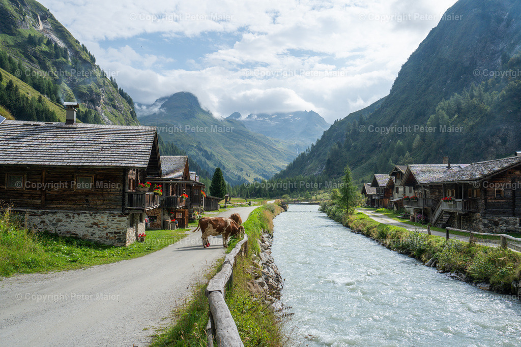 Gletscherweg_Innergschlöss_August_24-10 | piet_flosse