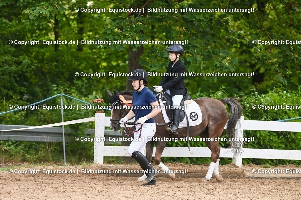 20230716_11_Führzügel-WB_0119 | equistock