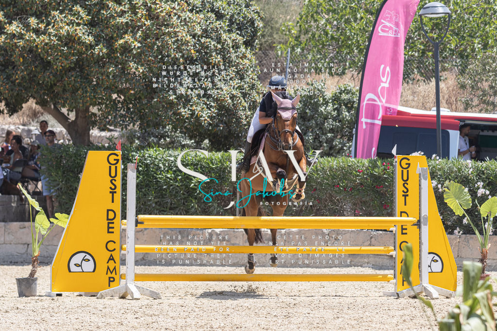 IMG_6682 | s-jay-photography - Realisiert mit Pictrs.com