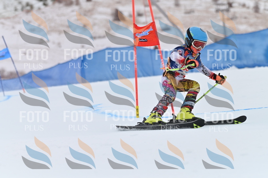 BGV_0483 | holidayphoto