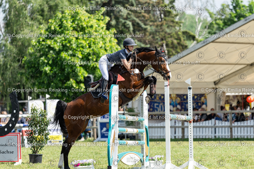 CL5A4287 | Emilia Reinking Fotografie - Realisiert mit Pictrs.com