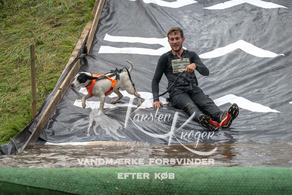 1557_ZZ91655 | kk-dogfotos