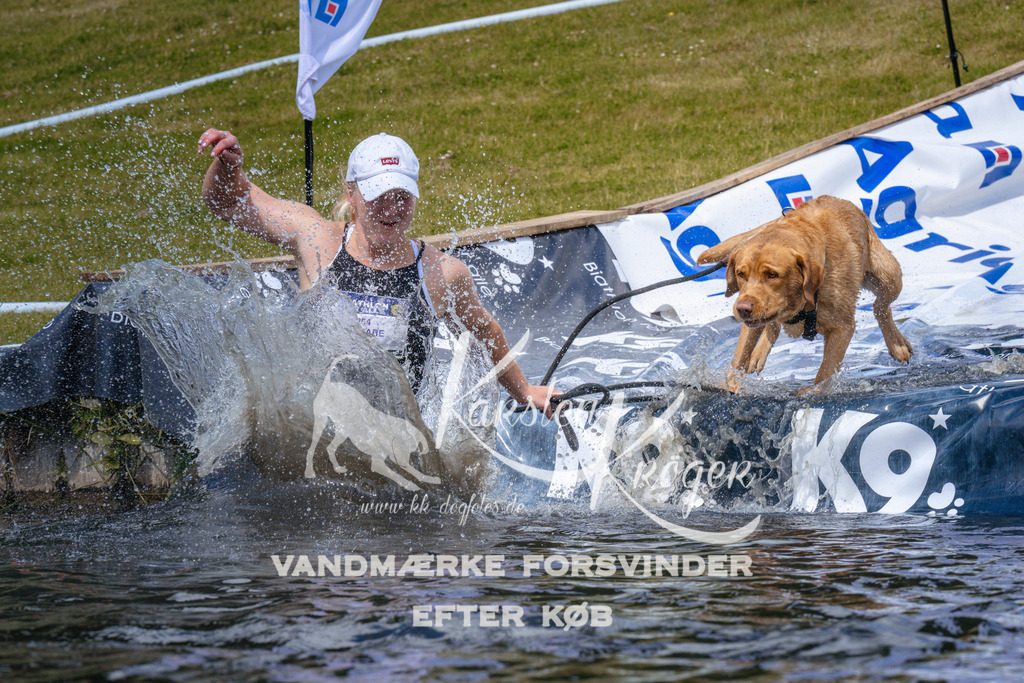 _ZZ991951051 | kk-dogfotos