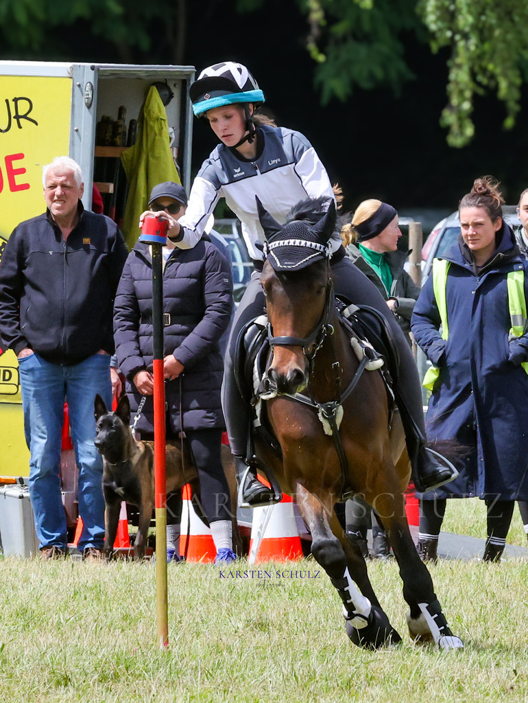 1B3A1068 | Reitsport Reiten