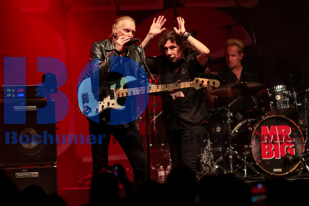 Zeltfestival Ruhr 2024 - Mr. Big  {date} -  | {headline}(Foto: Sebastian Sendlak / BOND) - Realisiert mit Pictrs.com