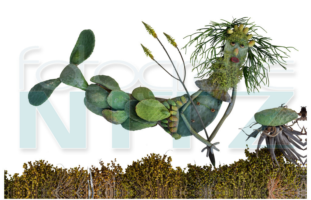 43 | Nitz Fotografie aus Montabaur bietet Ihnen hier die Möglichkeit Bilder auszusuchen und zu bestellen. 