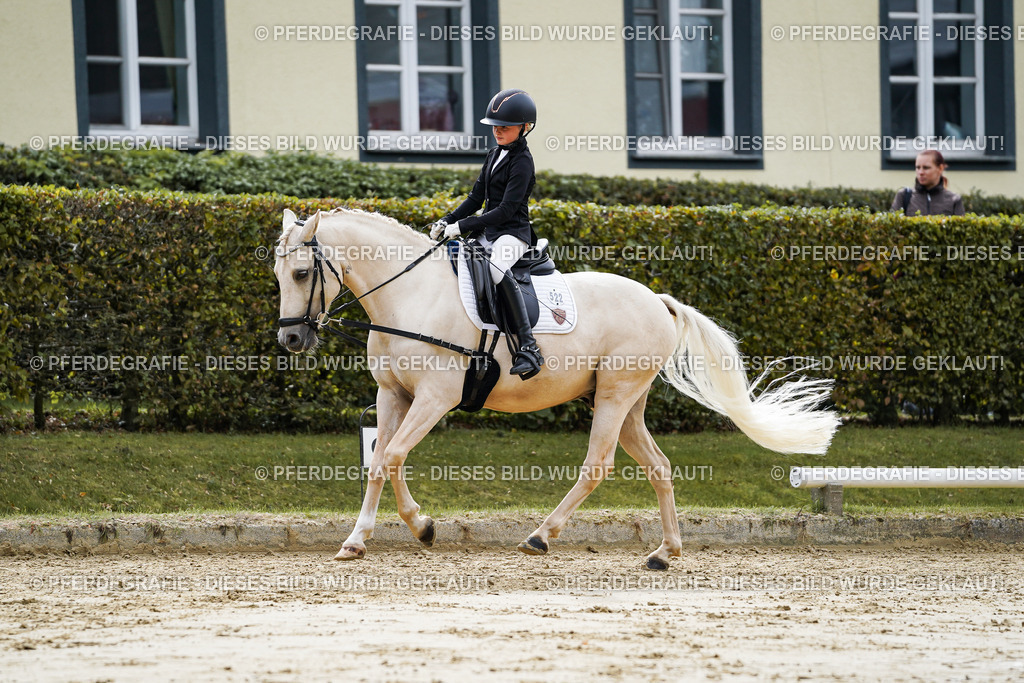 DSC05581 | Pferdegrafie