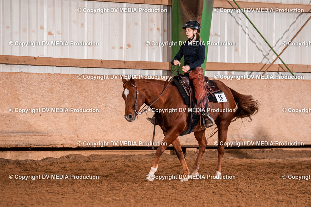 Balingen Tag 2-1419 | dv-media-shop - Realisiert mit Pictrs.com