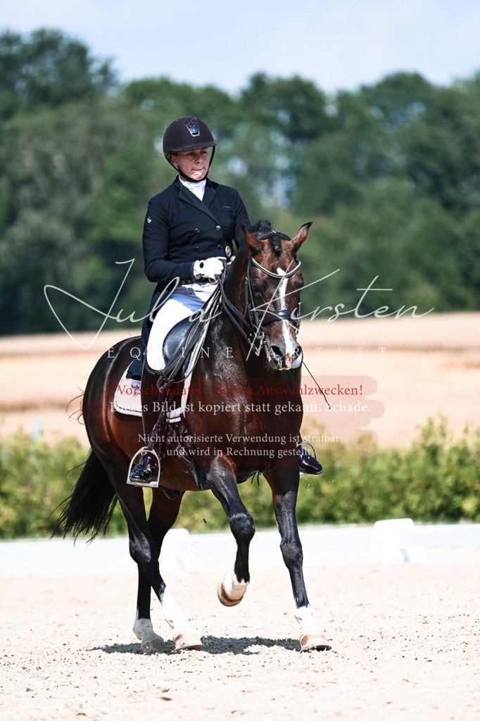 DSC_2977 | Pferde- und Turnierfotografie in Westsachsen. Pferdeportraits, Auftragszeichnungen und intuitive Kunst.