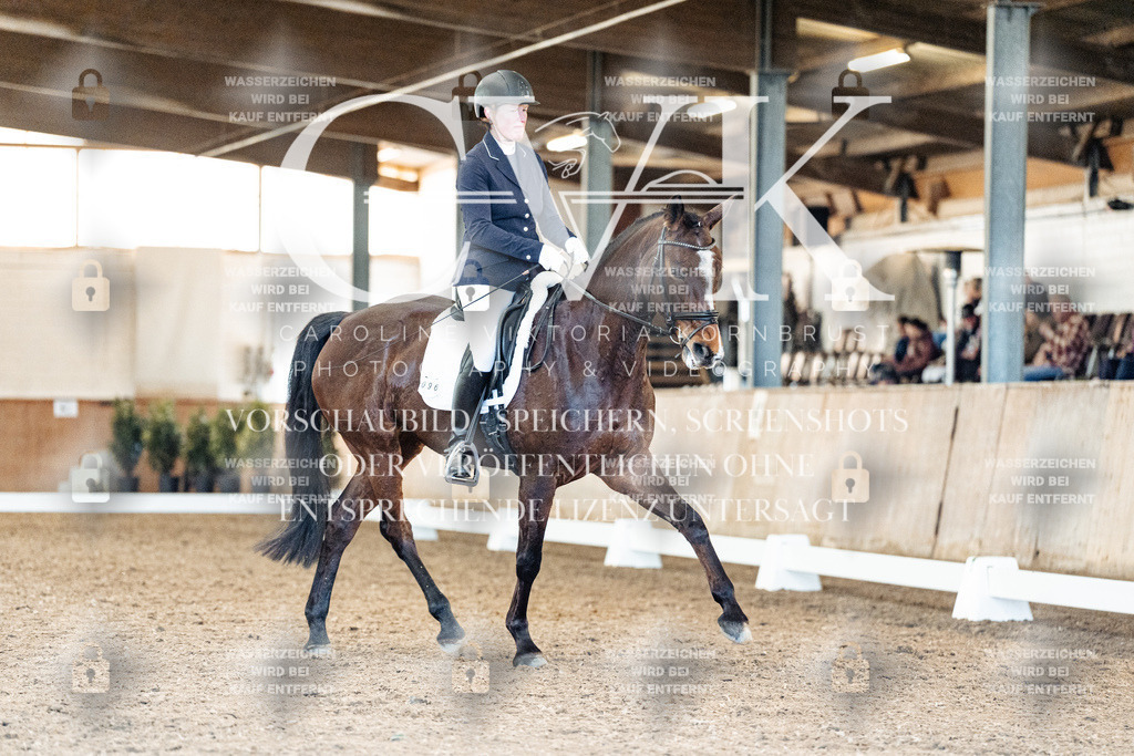 CK909184 | Turnierfotografie Pferdefotografie Trier Rheinland-Pfalz Pferdesport Reitsport Tierfotografie Sportfotografie Pferdevideo Pferdevideografie Equestrianvideography equestrianphotography  - Realisiert mit Pictrs.com