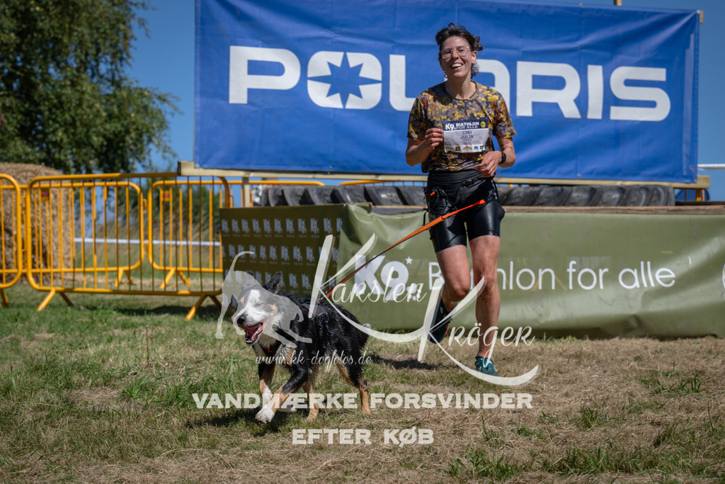 1255_ZZ97393 | kk-dogfotos