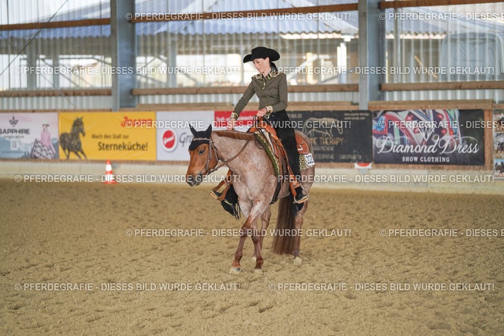 DSC09243 | Pferdegrafie