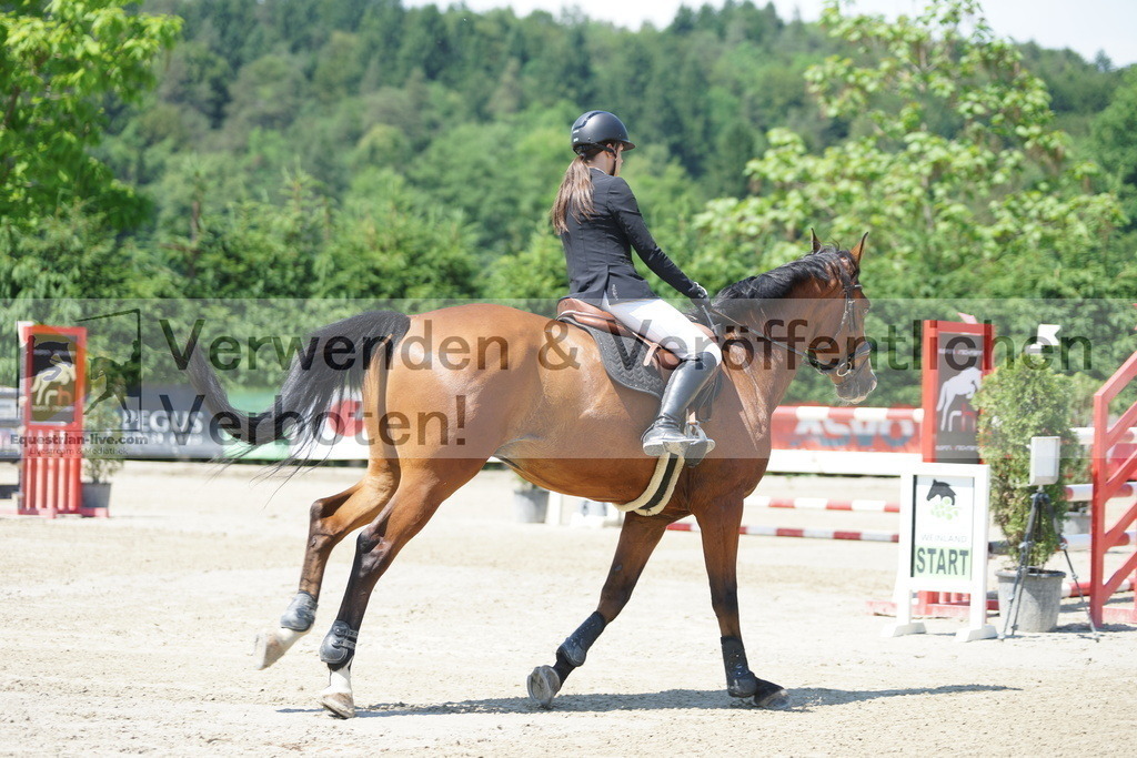 DSC00769 | equestrian-live-com