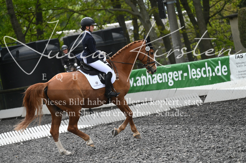 20230512_JK-Röhrsdorf-07-045 | Pferde- und Turnierfotografie in Westsachsen. Pferdeportraits, Auftragszeichnungen und intuitive Kunst.
