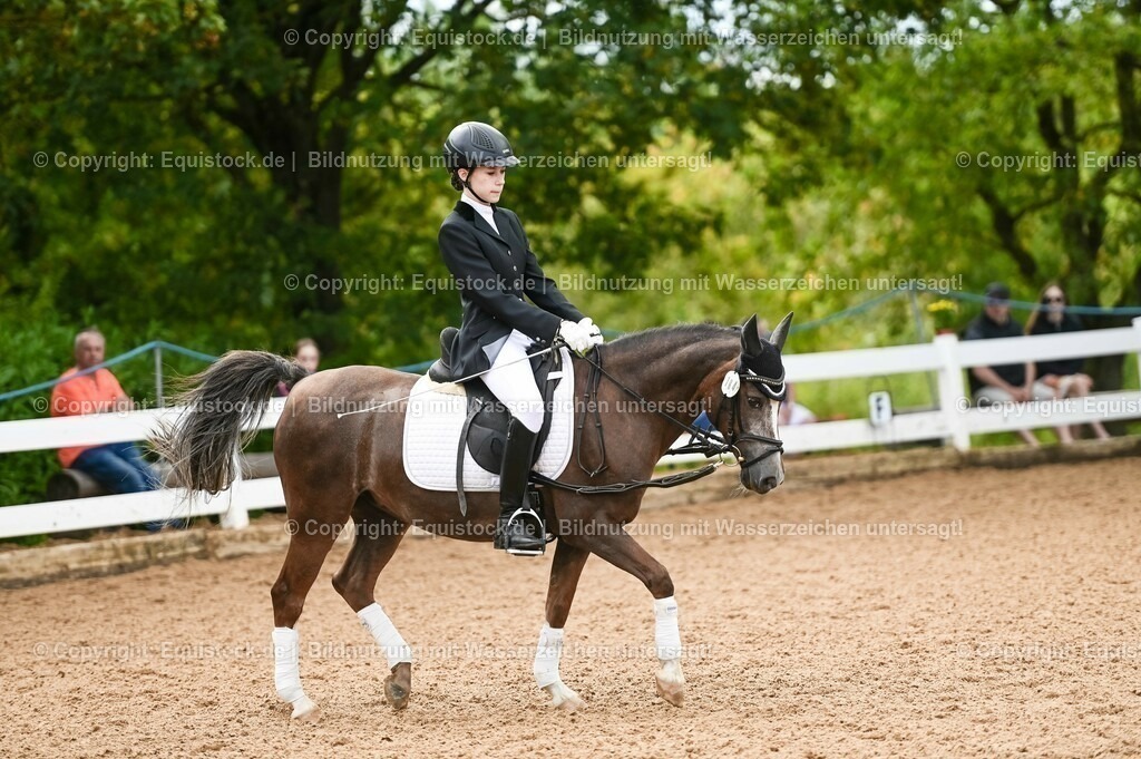 20230716_10-2_Reiter-WB Schritt - Trab - Galopp_0054 | equistock