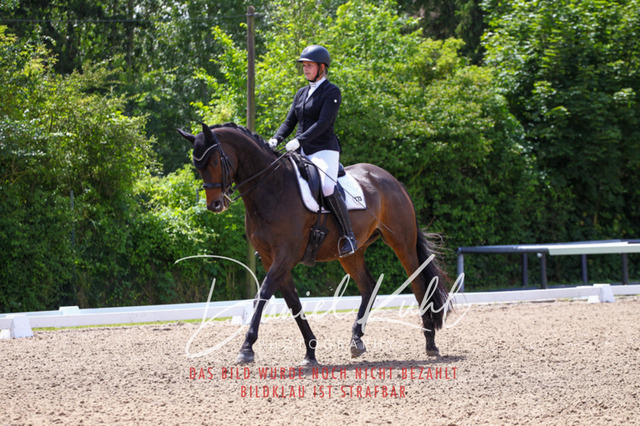 DKP40997 | Turnierfotos kaufen im Webshop von Daniel Kuhl Photography – entdecke professionelle Reitsportfotos aus Turnieren & Events. Hochwertige Turnierbilder online bestellen & sichern. Jetzt Fotos von Reitsportturnieren kaufen!
