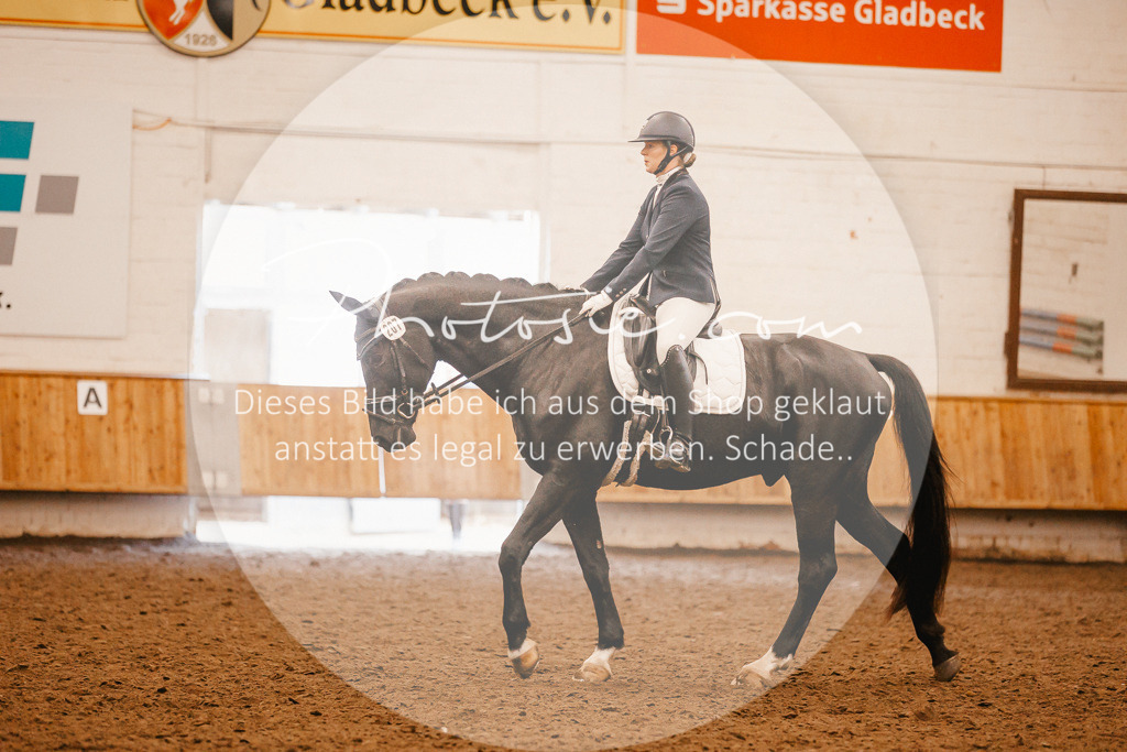 3I6A1796 | Stimmungsvolle Portraits und Reitsportfotografie im Ruhrgebiet und im Münsterland.

Pferdefotografie, Hundefotografie, Tierfotografie, Reportagen, Portraits von Tier und Mensch, Turnierfotografie in Bochum, Recklinghausen, Marl, Haltern am See, Dülmen.. - Realisiert mit Pictrs.com