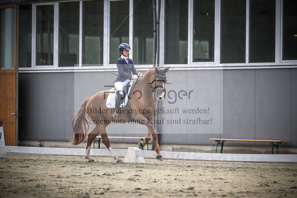 DOS_1697 | Entdecke hochwertige Reitturnierfotos von Foto Oger. Professionell, emotional und authentisch – jetzt Lieblingsmomente im Shop bestellen.Deutschlandweite Turnierfotografie. - Realisiert mit Pictrs.com