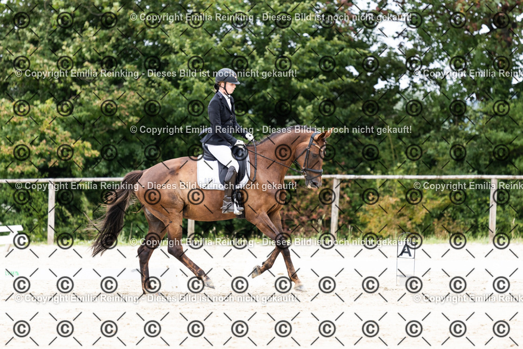 CL5A3221 | Emilia Reinking Fotografie - Realisiert mit Pictrs.com