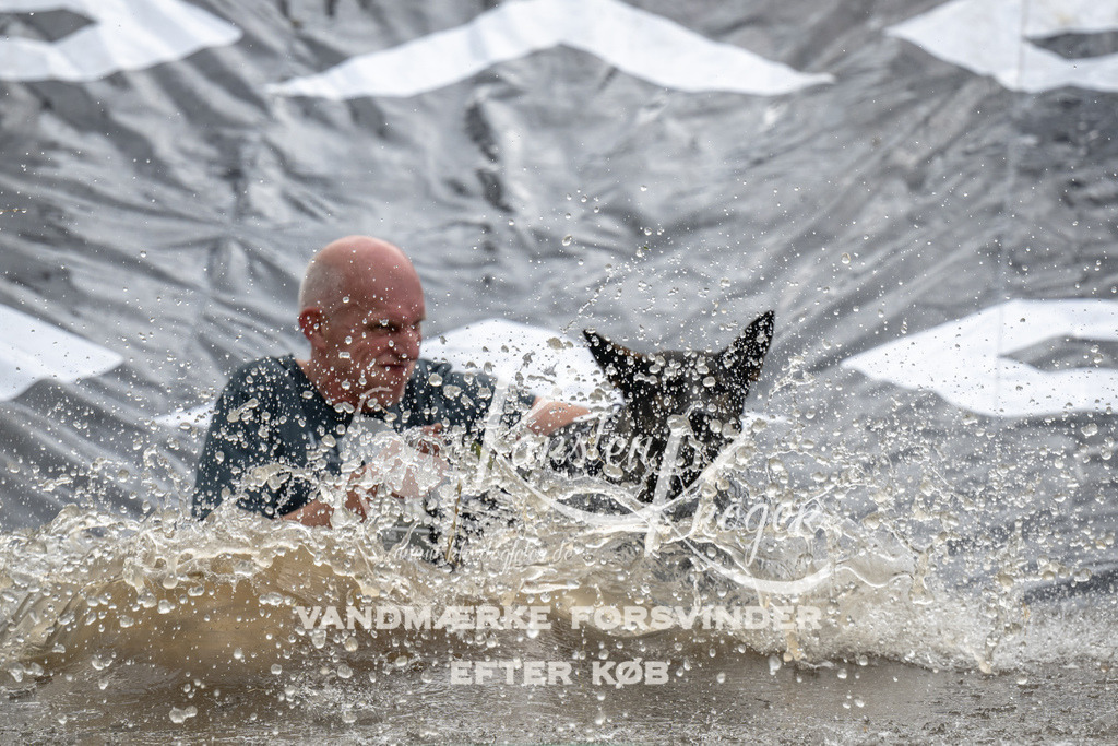 1417_ZZ94956 | kk-dogfotos