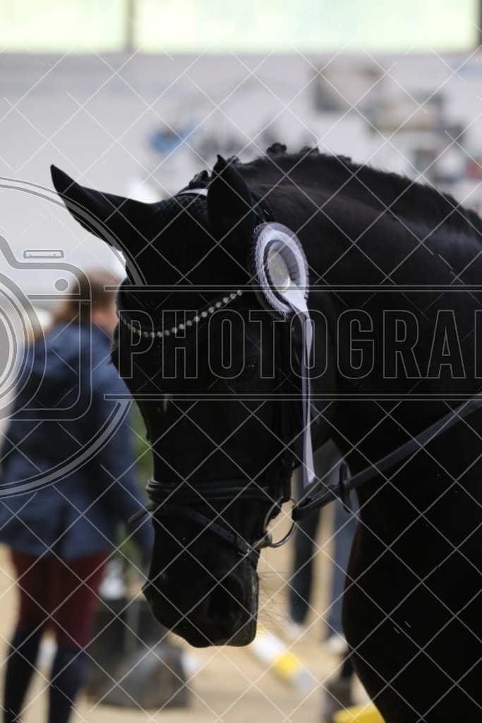 IMG_2206 | photographesa-joergens - Realisiert mit Pictrs.com