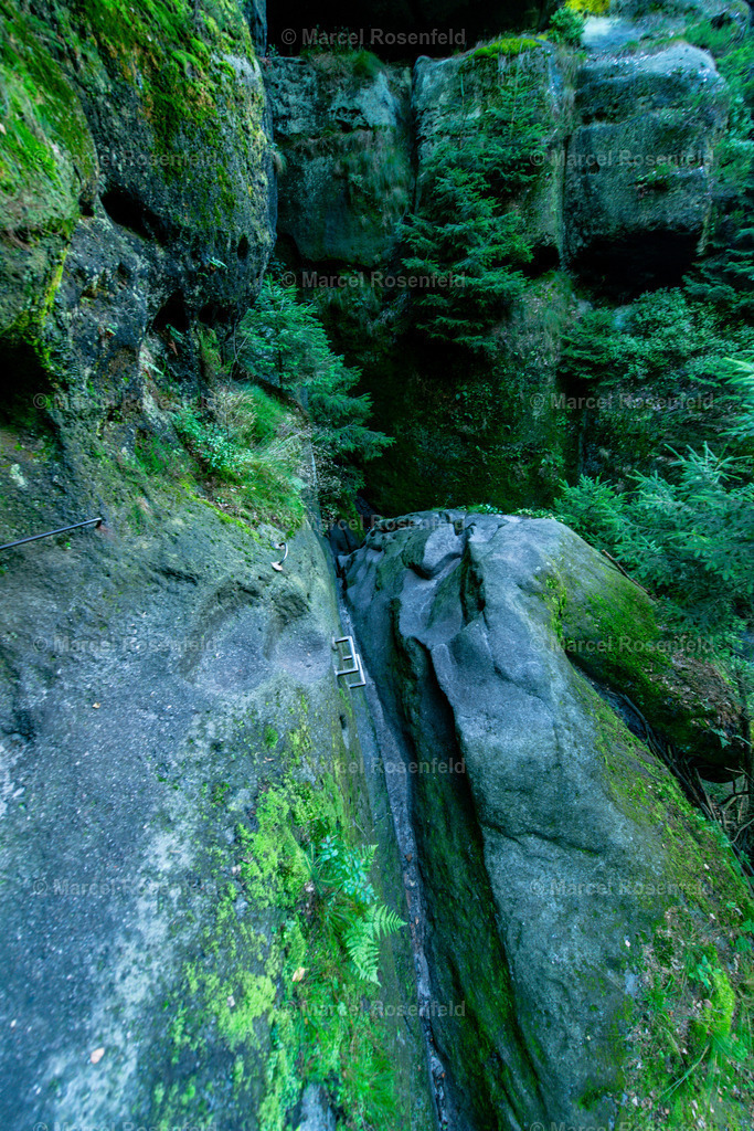 _DSC7385 | foto-rosenfeld