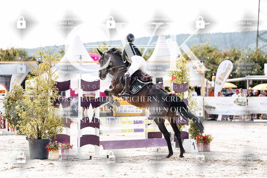 CK905517 | Turnierfotografie Pferdefotografie Trier Rheinland-Pfalz Pferdesport Reitsport Tierfotografie Sportfotografie Pferdevideo Pferdevideografie Equestrianvideography equestrianphotography  - Realisiert mit Pictrs.com