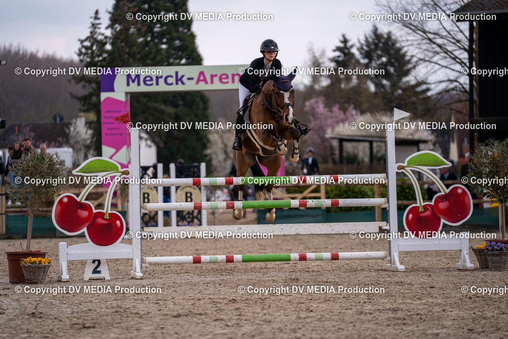 Kranichstein Tag 2-2174 | dv-media-shop - Realisiert mit Pictrs.com