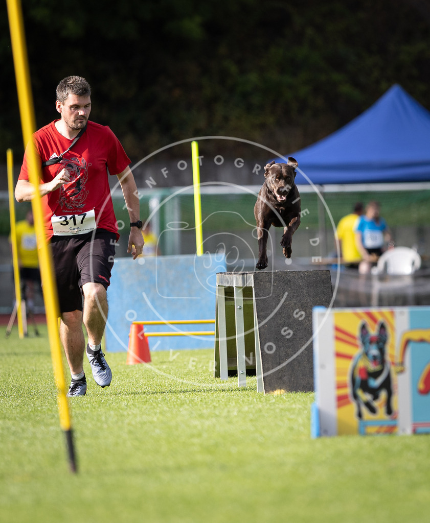 Pfotenfotografie_DV3A1945 | Hundefotografie, Tierfotograf, Pfotenfotografie, Fotoshooting Hund, Hunde Portrait, Hundesport, Hundeportraits, Heideshooting, Hunde, Sportfotograf, Hundefotograf, Turnierhundsport, THS,  - Realisiert mit Pictrs.com