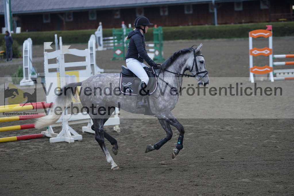 DSC00233 | equestrian-live-com