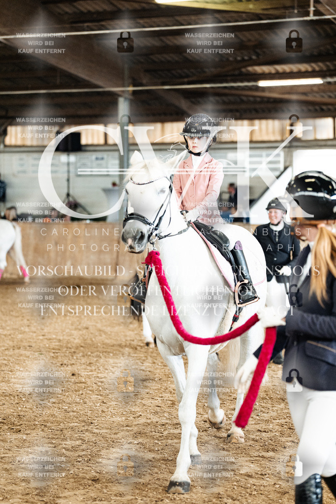 CK906138 | Turnierfotografie Pferdefotografie Trier Rheinland-Pfalz Pferdesport Reitsport Tierfotografie Sportfotografie Pferdevideo Pferdevideografie Equestrianvideography equestrianphotography  - Realized with Pictrs.com
