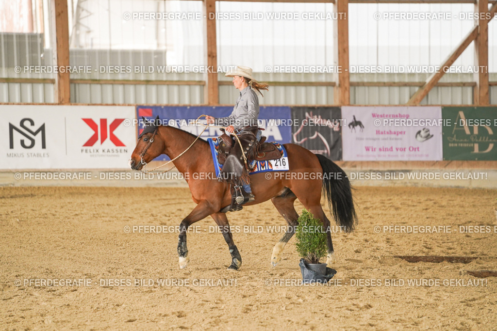 DSC02129 | Pferdegrafie