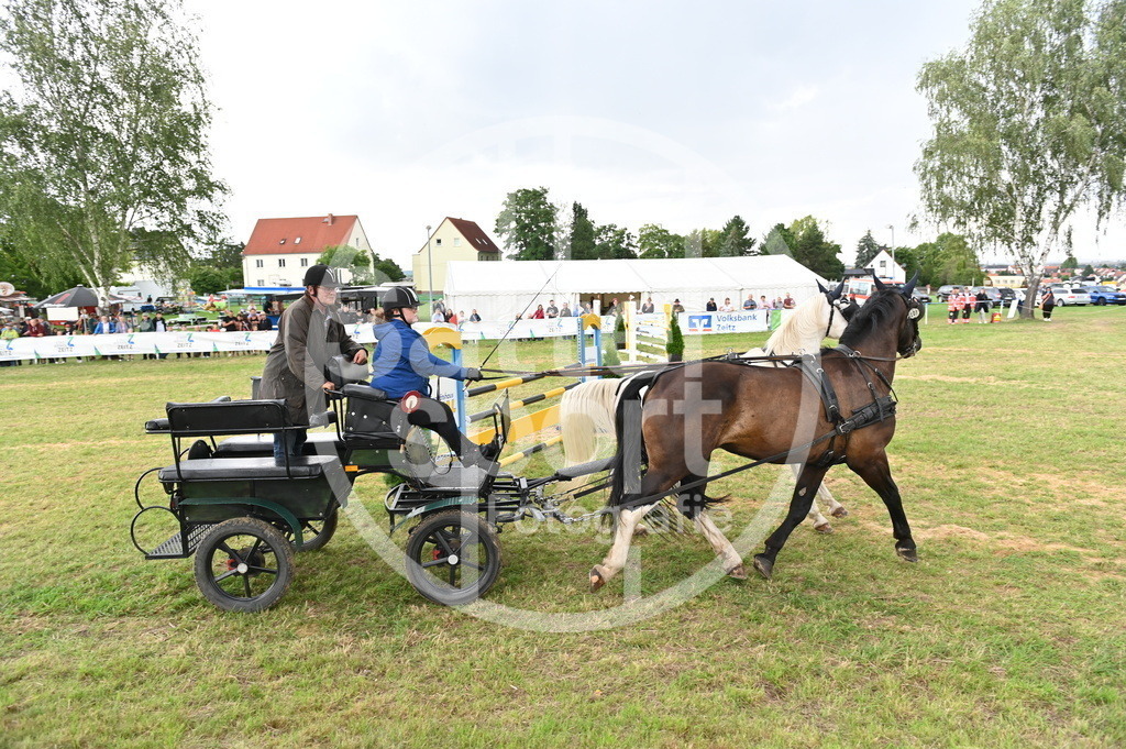 DSC_4461 | sattelsport - Realisiert mit Pictrs.com