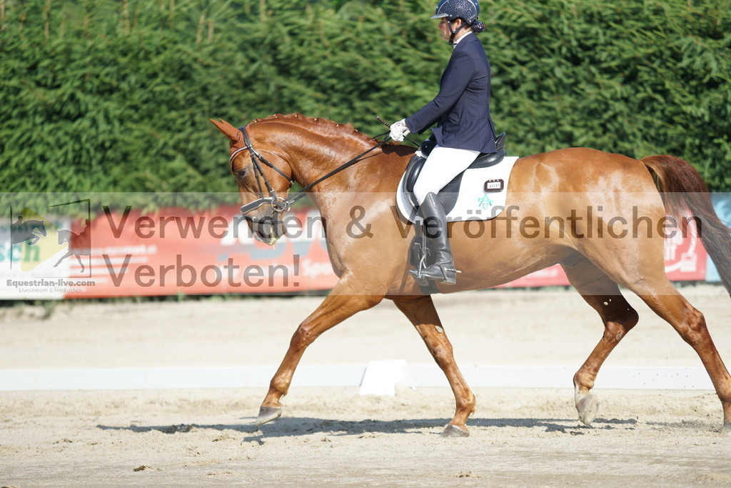 DSC04480 | equestrian-live-com