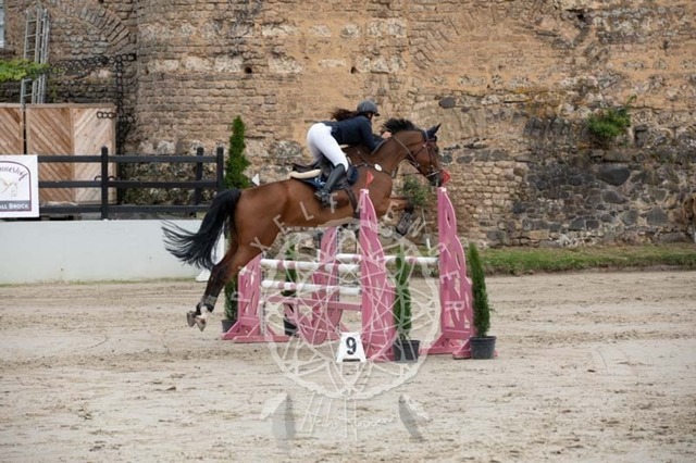 2B4A1544 | pixelfaenger - Realisiert mit Pictrs.com