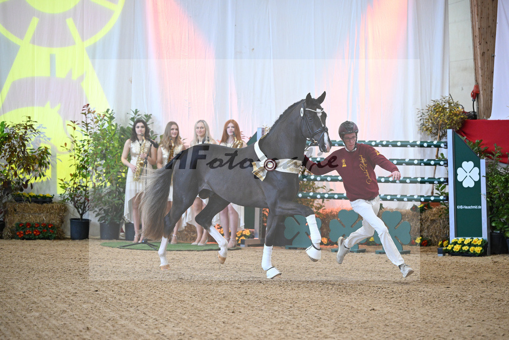 Kat.-Nr. 45 v. Bonds_Schafhof_2252436 | hf-fotografie - Realisiert mit Pictrs.com