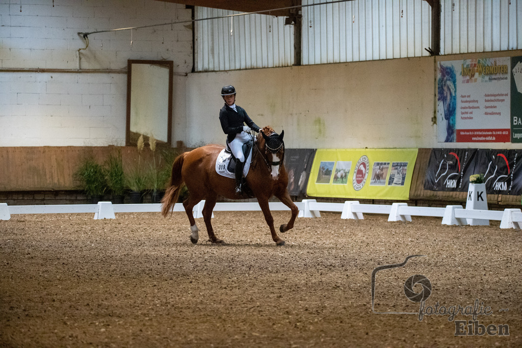 Helle Nymphenburger Dressurtage | Sophie-Celine-Viktoria Richter auf dem Pferd Palinkas Red (Startnummer 319); Helle Nymphenburger Dressurtage am 01.10.2023; in Bad Zwischen (RC Helle), Photo: Philip Eiben 2023 - Realisiert mit Pictrs.com
