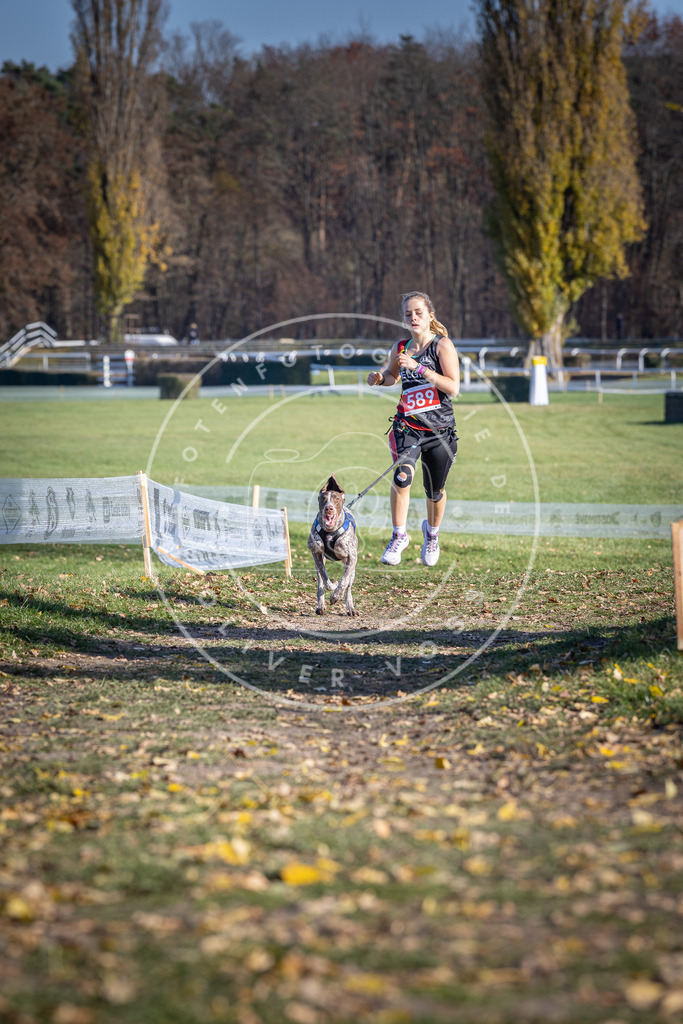 CaniXpix_DV3A9204 | Hundefotografie, Tierfotograf, Pfotenfotografie, Fotoshooting Hund, Hunde Portrait, Hundesport, Hundeportraits, Heideshooting, Hunde, Sportfotograf, Hundefotograf, Turnierhundsport, THS,  - Realisiert mit Pictrs.com