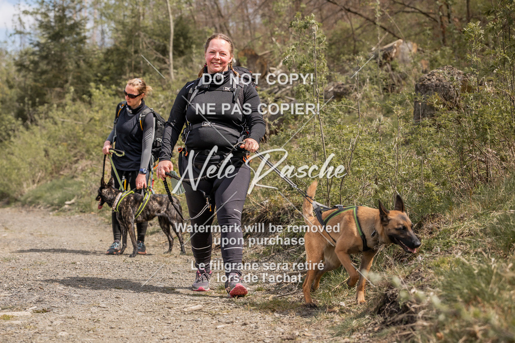 6Z1A1215 | nelerasche