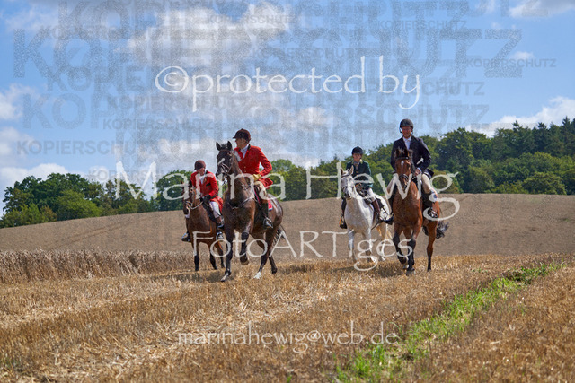 _MCH8266_Marina Hewig | Fotografie, FotoArt, PferdesportArt, Pferdesportfotografie, Landschaftsfotografie, Reisefotografie, Reise, Pferde - Realisiert mit Pictrs.com